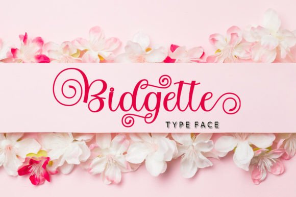 Bidgette: A Script Font That Makes Your Brand Feel Thoughtful