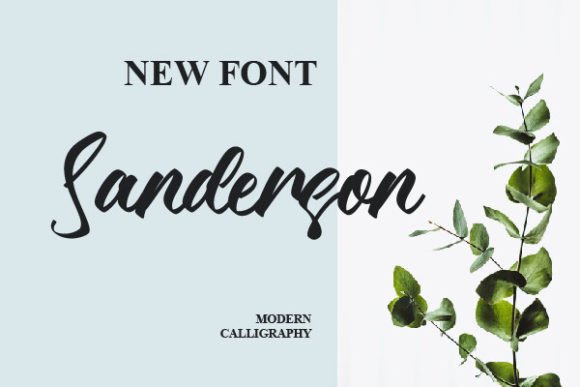 Sanderson: A Bold Handwritten Font for Editorial Impact